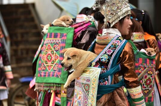 С�ɿڷǷ�ͬ���[���x�顱 �����{����ͬ���Pϵ