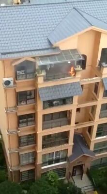 ꖹ�����ͥ�_չ�������ƺ���ꖹ����x����� ���ώ������x