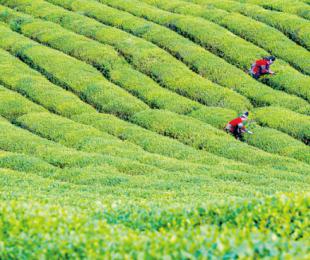 ��ƽ�� �����¡��� ��ƽ�h2019���I�lչ�C��