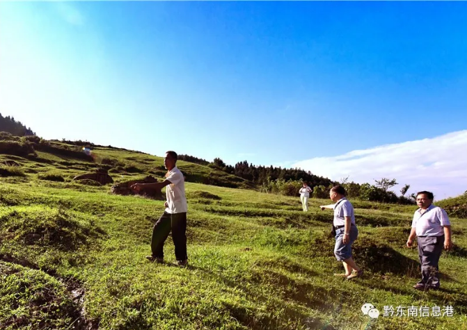 ȫ����ÿ�����������(ji��n)��(zh��n)ȫ�汣������Ⱥ������ؔ(c��i)�a(ch��n)��ȫ