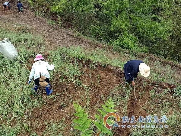 �M������Nֲ���מ�