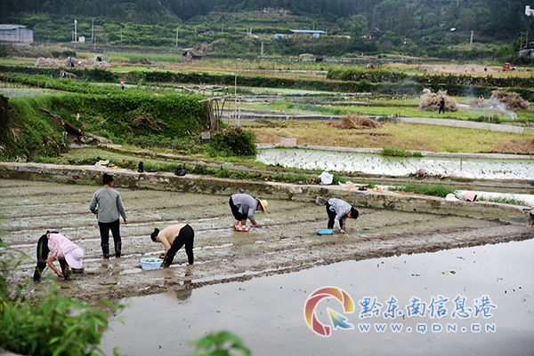 �F�ݏĽ���������M��ȭ���،��r(n��ng)������·