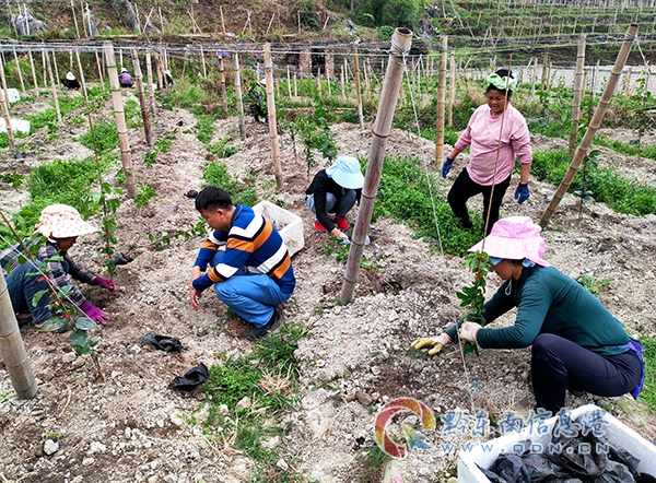 �F�ݏĽ���������M��ȭ���،��r(n��ng)������·