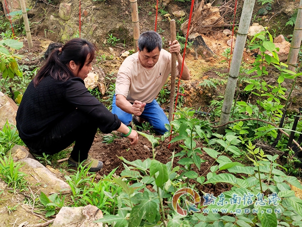 �F��ʡ�Ľ��h�r(n��ng)���ˆT��؞���(zh��n)��ˢ��F(xi��n)��ָ���r(n��ng)���������ľ���Թ��������d܊�z��