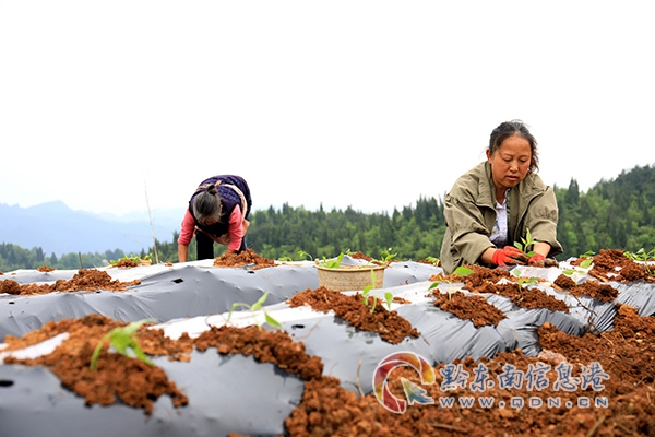 �얿h˼�D�(zh��n)������������