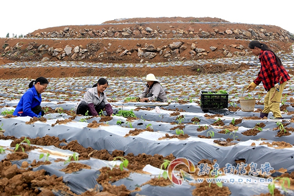 �얿h˼�D�(zh��n)������������