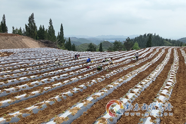 �얿h˼�D�(zh��n)������������