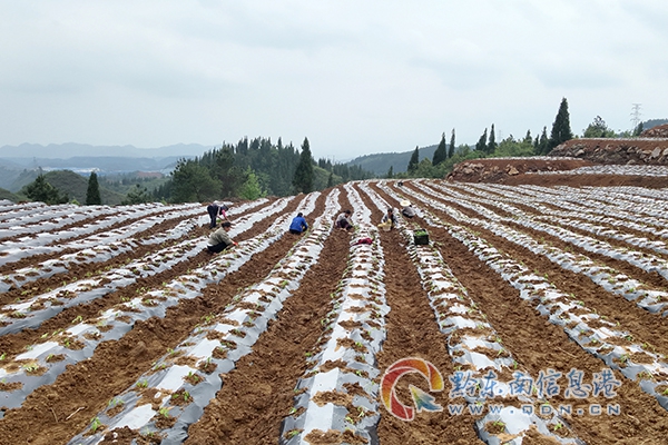 �얿h˼�D�(zh��n)������������