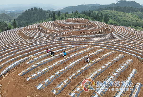 �얿h˼�D�(zh��n)������������