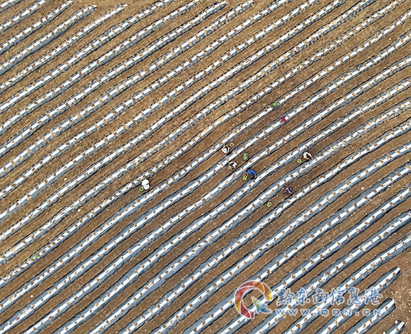 �얿h˼�D�(zh��n)������������