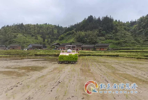 �絾+�������C��F��