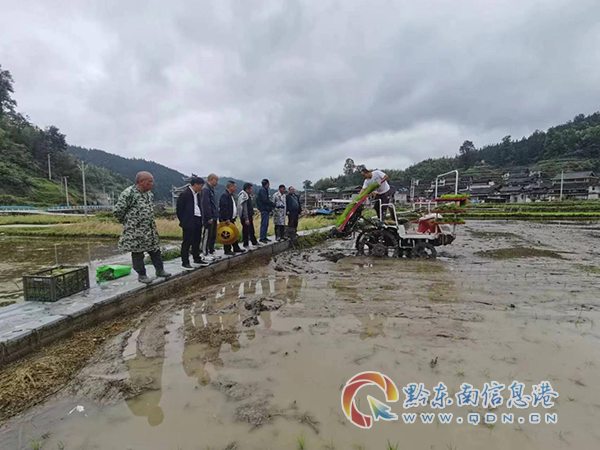 ���ͽֵ�����һ�����ġ����ε�·��ͨ��ȫ����