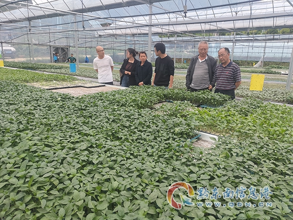 ��ż�������һ��