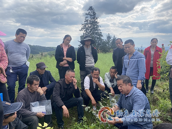 ��ƽ��Ժ�O(sh��)���ׂ�(g��)����ƽ�hУ�@������ƽ�_(t��i)��