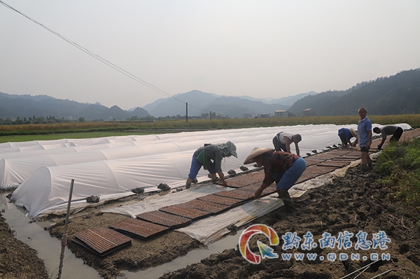 �D�� ���\���~�����կ����������������˂����ڔ[�P