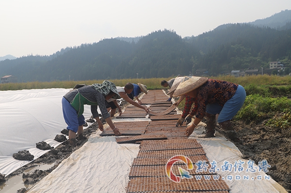 �D�� ���\���~�����կ�������������˂����ڔ[�P