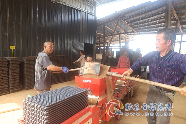 �D�� ���\���h�~�����կ���ˮ�����������������˂����ړ�ץ�r�r���e�O�_չ������������������