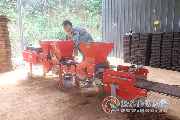 �D�� ���\���h�~�����կ���ˮ��������������������˂����ړ�ץ�r�r���e�O�_չ������������������