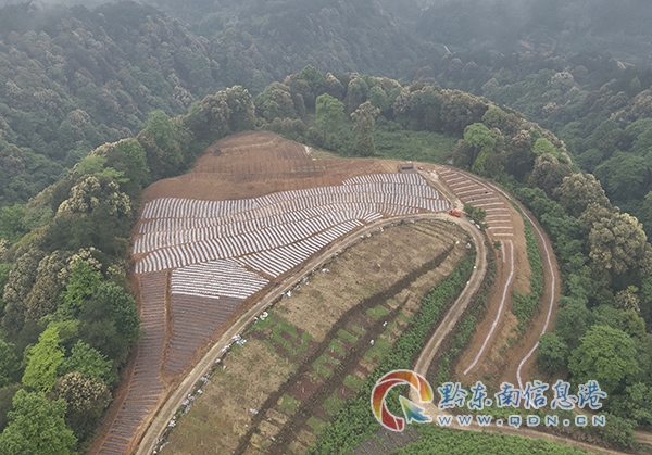 �얿h˼�D�(zh��n)������ˮ��ý�����M ���B(t��i)�������O(sh��)