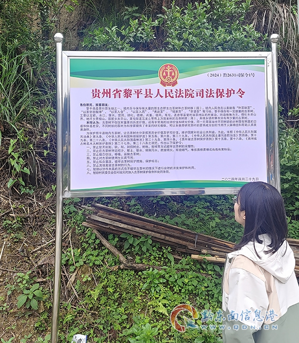 群眾在學習司法保護令