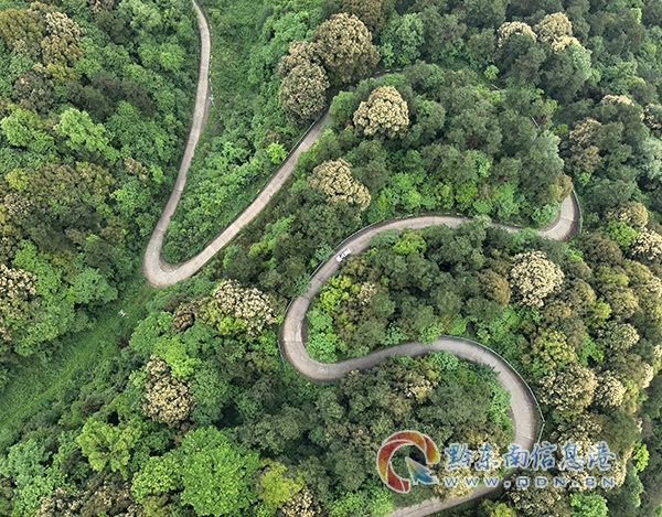 �얿h˼�D�(zh��n)������ˮ��ý�����M ���B(t��i)�������O(sh��)