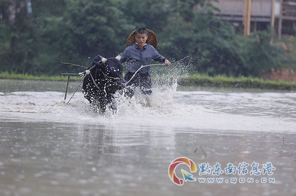 ��ƺ患����������MУ�@ ���ĺ��oδ����