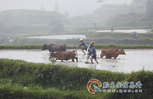 5��18�գ�����ƽ�h�����(zh��n)�󶴴壬�������M(j��n)��ţ��