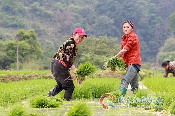 �얿h˼�D�(zh��n)������ˮ��ý�����M ���B(t��i)�������O(sh��)