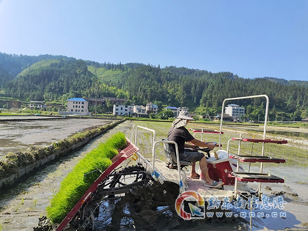 ��ƺ�(zh��n)���r(n��ng)�I(y��)�C(j��)е�� �x���l(xi��ng)�����d�¡�����·