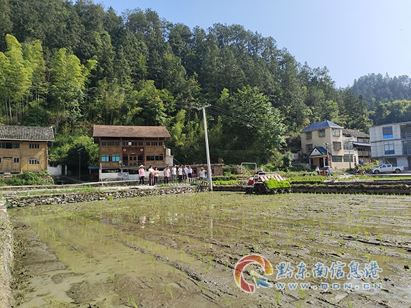 圖為壩寨鄉組織村干和群眾進行現場觀摩