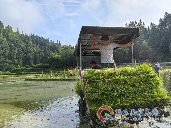 ��ƺ�(zh��n)���r(n��ng)�I(y��)�C(j��)е�� �x���l(xi��ng)�����d�¡�����·