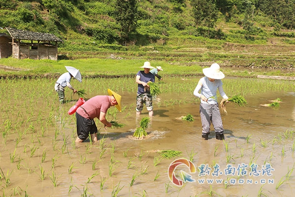 �h�T�ɲ���æ�������