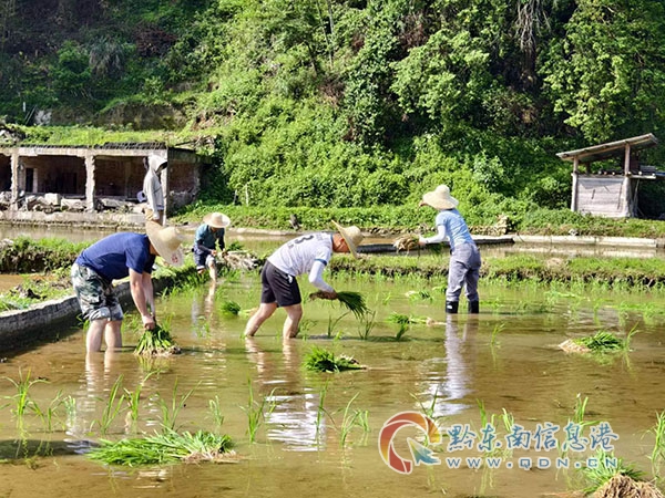 ��ƺ�(zh��n)����·�L���R�l(f��)�����o(h��)��Ѵ���r(n��ng)�幫·��ȫ