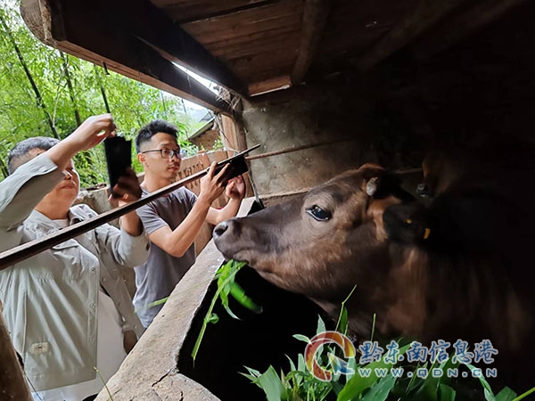 ��ƽ�h�y(t��ng)Ӌ(j��)�֣�������(qi��ng)��������ɭ�ְ�ȫ����