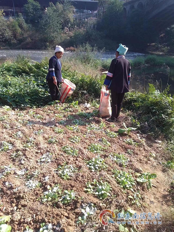 �DŮ�����Ӱ��l��