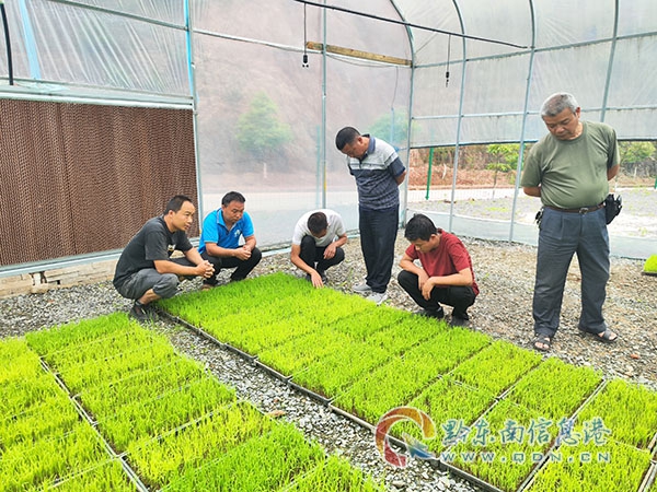 ��ƺ�(zh��n)����һ���������� ��ɲ����L(f��ng)���O(sh��)