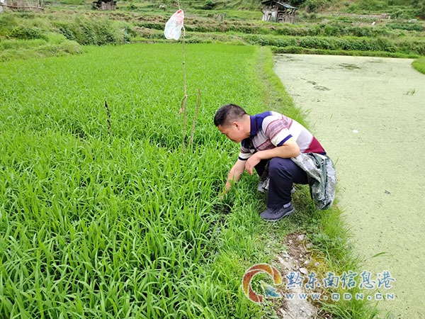 �D���l�r���ˆT�´�鿴Ⱥ���Nֲˮ�����L��r