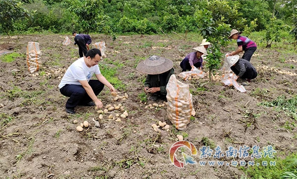 ��Ϫ�(zh��n)��ȫ���坍�Є�(d��ng) �����Gɫ�҈@