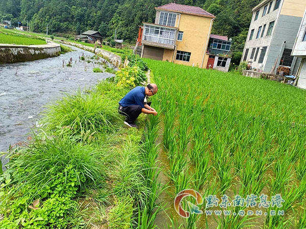 ��ƽ�h�y(t��ng)Ӌ(j��)�֡�����λ������ �{(di��o)���λ���(b��o)��칤��