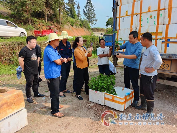 �P��Ľ���늾֣������c(di��n)�����Сɳ���@��ِ  �����ط��l(xi��ng)���Ļ����d