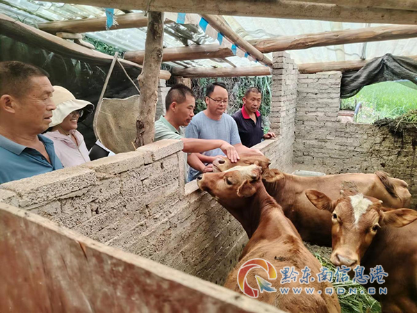 �D��a(ch��n)�I(y��)�������a(b��)�(xi��ng)Ŀ��ţ�B(y��ng)ֳ�(y��n)��