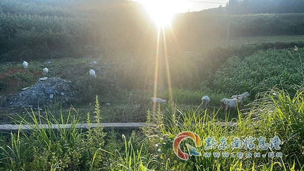 [�ļ��Є�]ʩ���h�������̂ɴ�꠿����ƫ@һ�����c����p�_��