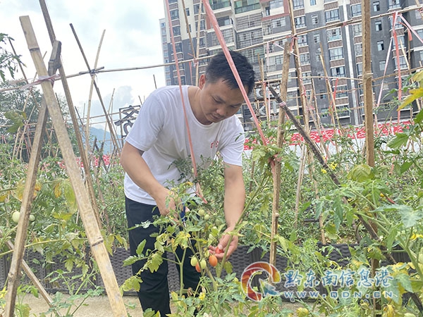 �F��ʡ�˴��������h�hί��ӛ���ȫ���I�쾫�� ���µ����έh��