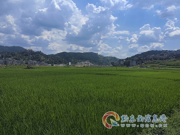 �Ժ�悼Zʳ�߮aʾ���r��