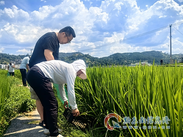 �r�I���g�ˆT����Ͷ�š������lʿ��