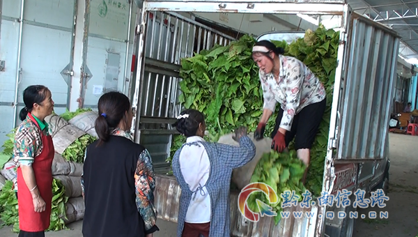 �D��̲�悱̲��忾���ʂ�濾һ��