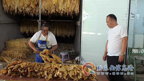 �D��̲�悱̲��忾���濾һ��