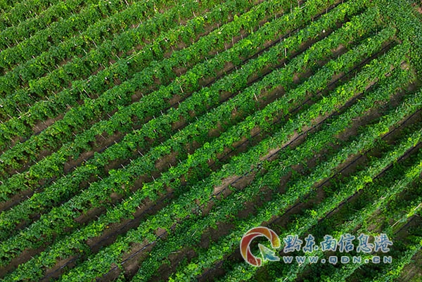 �얿h�h������F����ɽ����ˮ�^���ӽ����|�����f������