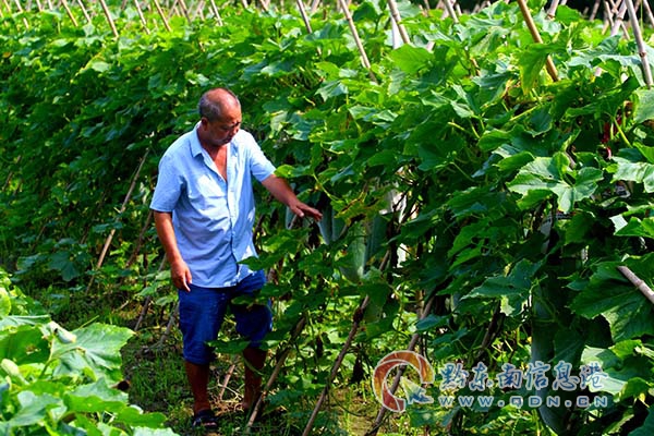 ˼�D�(zh��n)�P�ִ嶬�Ϯa(ch��n)���أ��S�] �z��