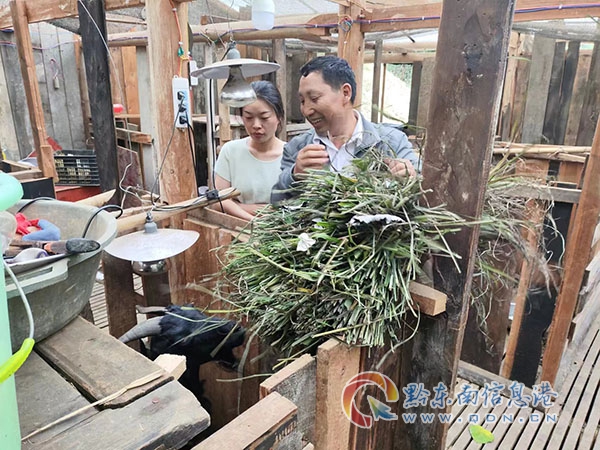 ��ƺ患������۽������M�� �������������